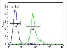 EMC3 Rabbit Polyclonal Antibody