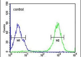 SPATA13 Rabbit Polyclonal Antibody