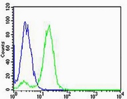 NDUFB4 Rabbit Polyclonal Antibody
