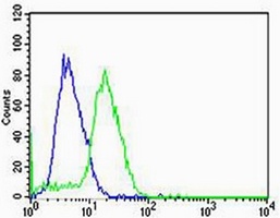 HBG2 Rabbit Polyclonal Antibody