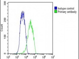GDE1 Antibody