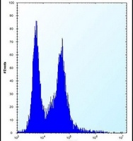 PI15 Rabbit Polyclonal Antibody