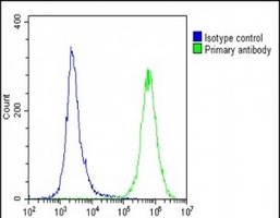 DUX4 Rabbit Polyclonal Antibody