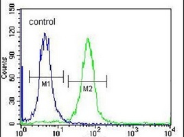 SP6 Rabbit Polyclonal Antibody