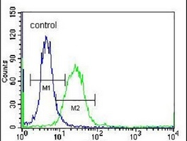 DOC2A Rabbit Polyclonal Antibody