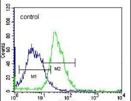 PLEKHH1 Rabbit Polyclonal Antibody