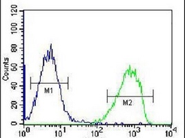 SPINK8 Rabbit Polyclonal Antibody