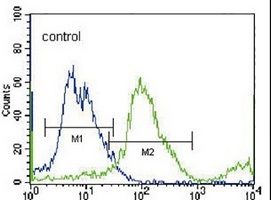 SLC36A1 Rabbit Polyclonal Antibody
