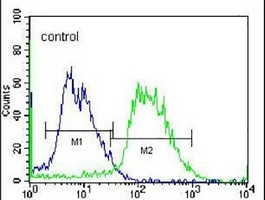 PCDHAC2 Rabbit Polyclonal Antibody