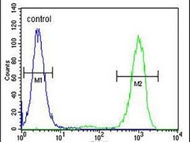 GPM6B Rabbit Polyclonal Antibody