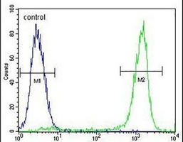 ZNF829 Rabbit Polyclonal Antibody