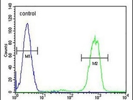 ANKRD40 Rabbit Polyclonal Antibody