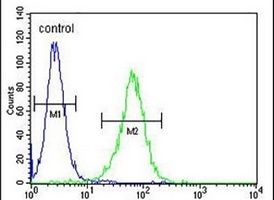 NXPH4 Rabbit Polyclonal Antibody
