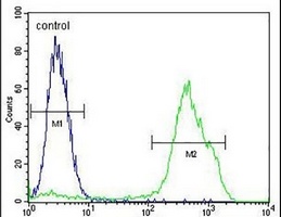 RNF19B Rabbit Polyclonal Antibody