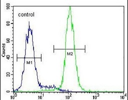 CST9 Rabbit Polyclonal Antibody