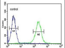 KIAA1324L Rabbit Polyclonal Antibody