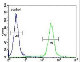 NKPD1 Rabbit Polyclonal Antibody