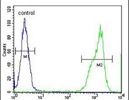RTN4IP1 Rabbit Polyclonal Antibody