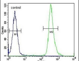 ZC4H2 Rabbit Polyclonal Antibody