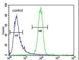 MCH Receptor 1 Antibody