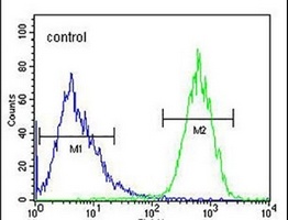 PRRG3 Rabbit Polyclonal Antibody