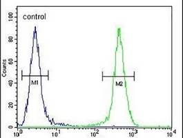 JOSD2 Rabbit Polyclonal Antibody