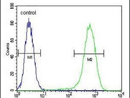 NUDT8 Rabbit Polyclonal Antibody
