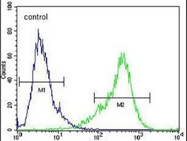 TLDC1 Rabbit Polyclonal Antibody