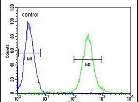 ATF7IP2 Antibody