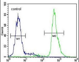 Neuroserpin Rabbit Polyclonal Antibody