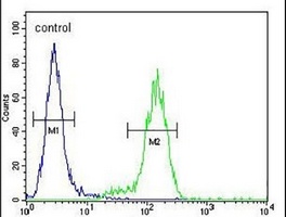 VWA3B Rabbit Polyclonal Antibody