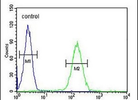 NOS1AP Rabbit Polyclonal Antibody
