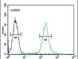 GALNT4 Rabbit Polyclonal Antibody