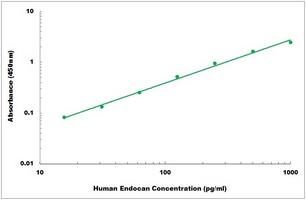 Human Endocan ELISA Kit