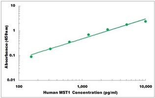 Human MST1 ELISA Kit