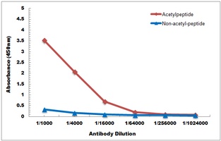 Histone H3 (Acetyl-K122) Antibody