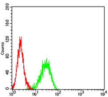 UQCRC1 Mouse Monoclonal Antibody
