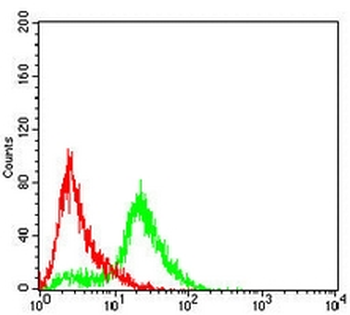 SLC7A3 Mouse Monoclonal Antibody