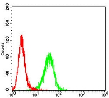 RPA2 Mouse Monoclonal Antibody