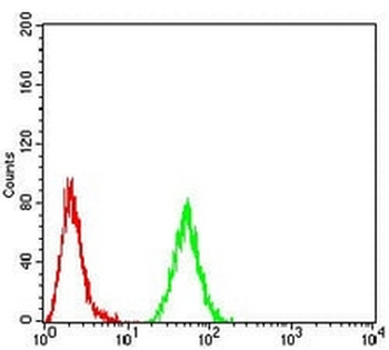 RAD52 Mouse Monoclonal Antibody
