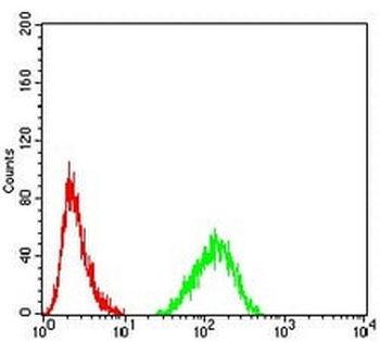 Lamin B2 Mouse Monoclonal Antibody