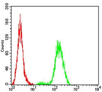 Lamin B1 Mouse Monoclonal Antibody