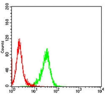 IFNAR1 Mouse Monoclonal Antibody