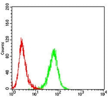 HSPA4 Mouse Monoclonal Antibody