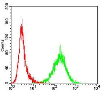 HSPA4 Mouse Monoclonal Antibody