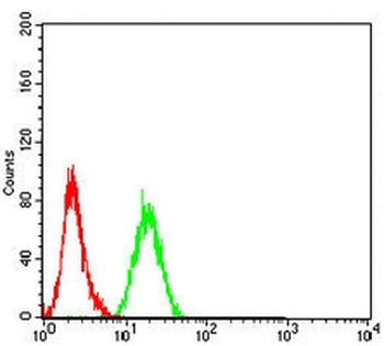 HNF1 beta Mouse Monoclonal Antibody