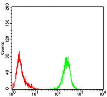 EIF2B3 Mouse Monoclonal Antibody
