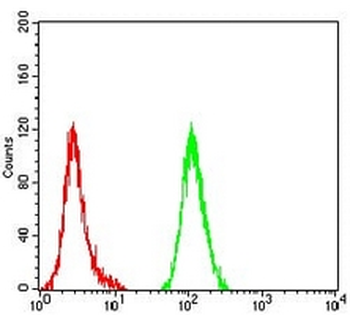 Cytochrome c Mouse Monoclonal Antibody