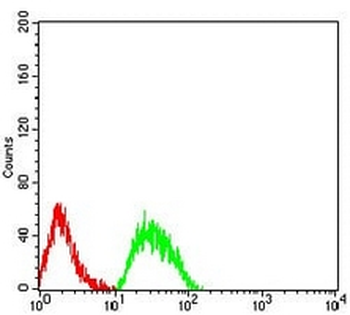 CHRNE Mouse Monoclonal Antibody