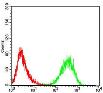 CD99 Mouse Monoclonal Antibody